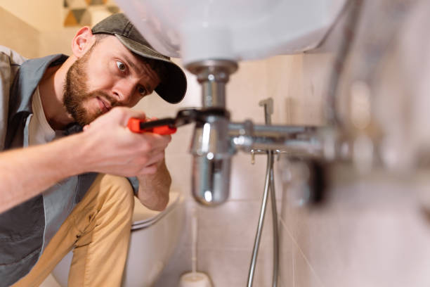 Best Toilet Repair and Installation  in Yorkvle, IL